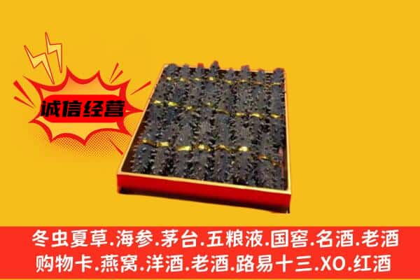 五指山回收海参